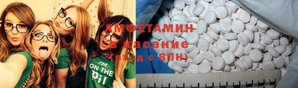 сатива Заволжье