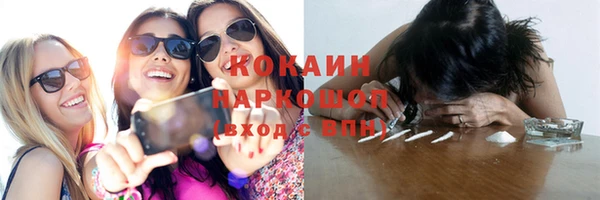 сатива Заволжье