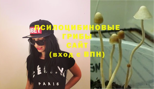 ГАЛЛЮЦИНОГЕННЫЕ ГРИБЫ Заволжск