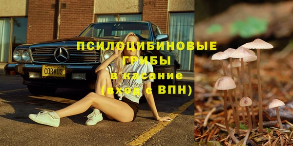 ГАЛЛЮЦИНОГЕННЫЕ ГРИБЫ Заволжск