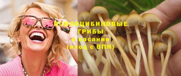 сатива Заволжье